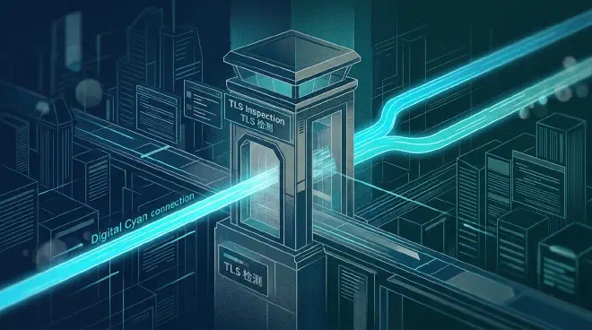 TLS Inspection: Can Companies Decrypt HTTPS Traffic?