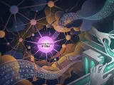 A visual metaphor depicting the evolution of ability, with a complex, expansive, and somewhat chaotic neural network on one side symbolizing raw potential and pre-training, gradually transforming or converging into a more structured, refined, and focused network on the other, representing stable, post-trained, and reliable performance, highlighting the journey from broad capability to precise skill.
