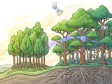 An illustration depicting a progression from a simple, isolated decision tree to a dense, interconnected forest of trees, symbolizing the evolution and complexity of ensemble tree models in machine learning.